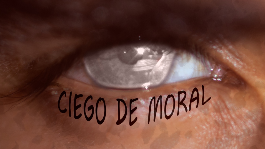 La deshumanización y el sistema político en «Ensayo sobre la ceguera» de José Saramago